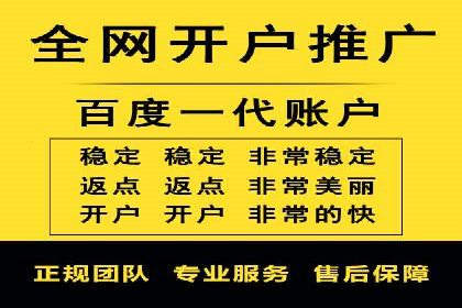 推广竞价策略优化：借鉴成功案例实现高效转化